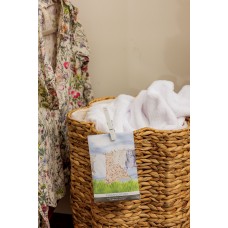 Саше Clean Clothes FSS2001243