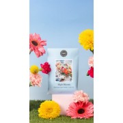 Саше High Bloom BW106193